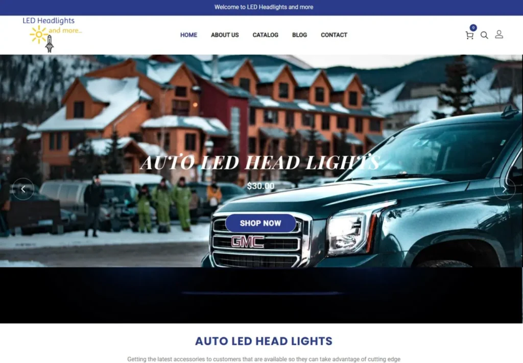 LED Light And More automotive lighting website project screenshot